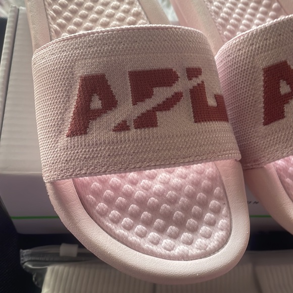 APL Slides - Picture 2 of 9